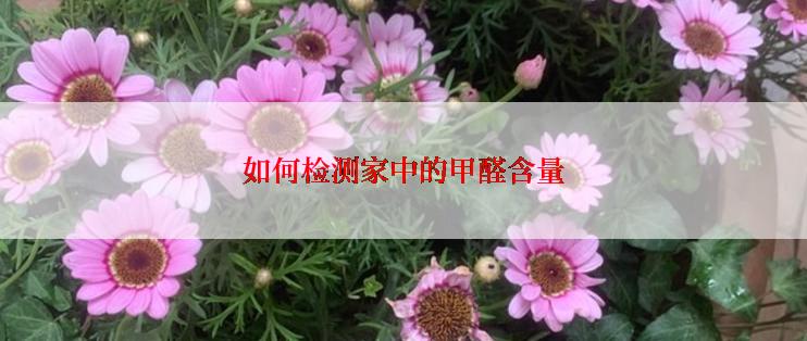 如何检测家中的甲醛含量