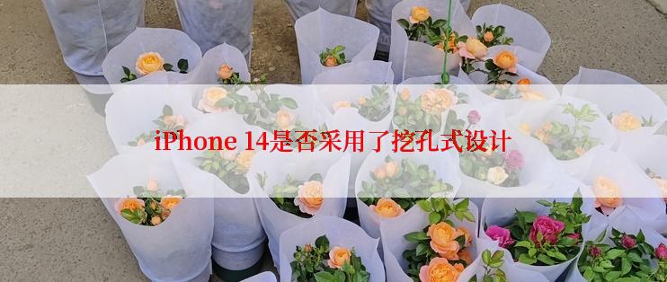 iPhone 14是否采用了挖孔式设计