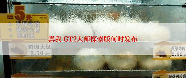 真我 GT2大师探索版何时发布