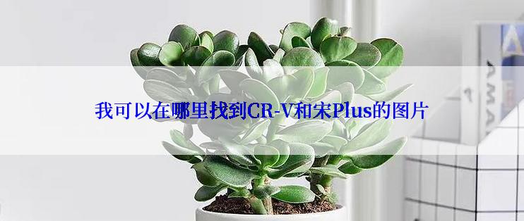 我可以在哪里找到CR-V和宋Plus的图片