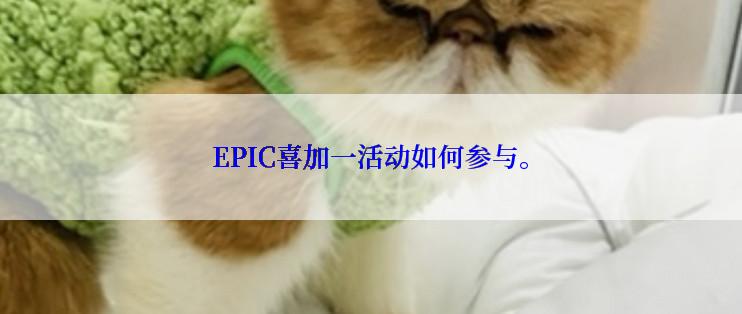 EPIC喜加一活动如何参与。