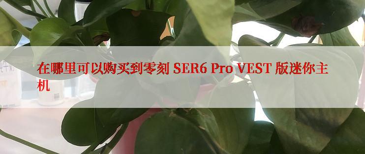 在哪里可以购买到零刻 SER6 Pro VEST 版迷你主机