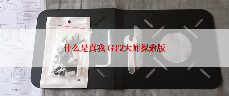 什么是真我 GT2大师探索版