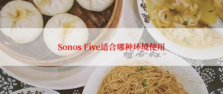 Sonos Five适合哪种环境使用