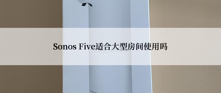 Sonos Five适合大型房间使用吗