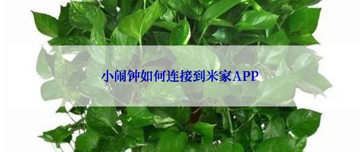 小闹钟如何连接到米家APP