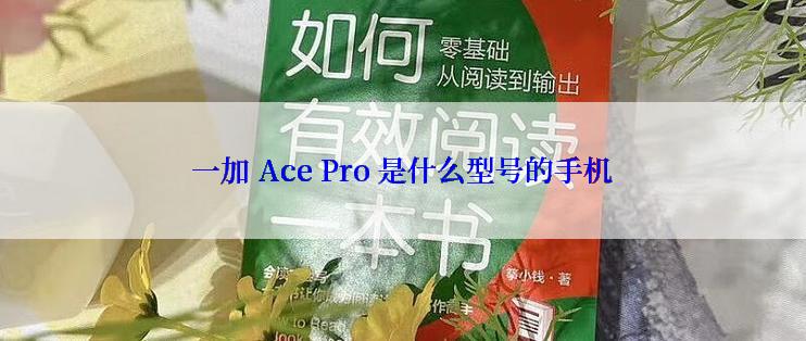 一加 Ace Pro 是什么型号的手机