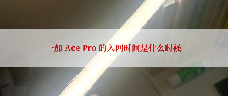 一加 Ace Pro 的入网时间是什么时候