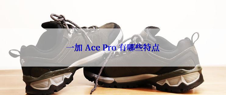 一加 Ace Pro 有哪些特点