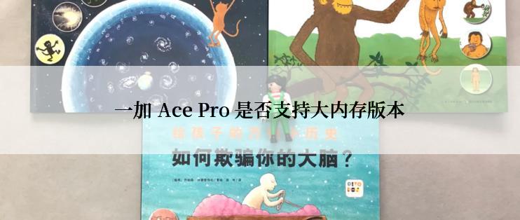 一加 Ace Pro 是否支持大内存版本