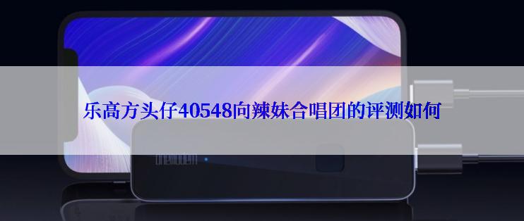 乐高方头仔40548向辣妹合唱团的评测如何