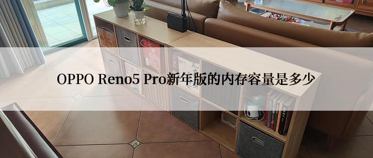 OPPO Reno5 Pro新年版的内存容量是多少