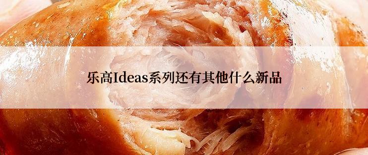 乐高Ideas系列还有其他什么新品