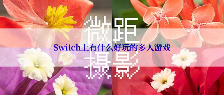 Switch上有什么好玩的多人游戏