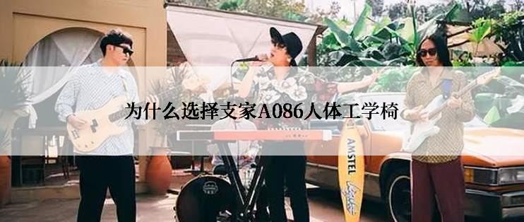 为什么选择支家A086人体工学椅