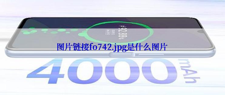 图片链接fo742.jpg是什么图片