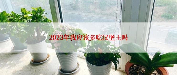 2023年我应该多吃汉堡王吗