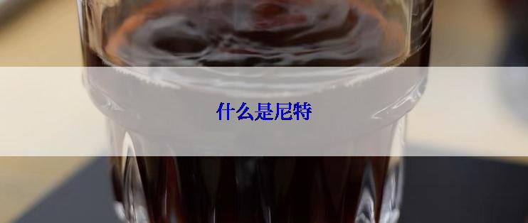 什么是尼特