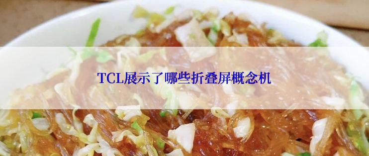 TCL展示了哪些折叠屏概念机