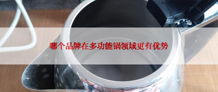 哪个品牌在多功能锅领域更有优势