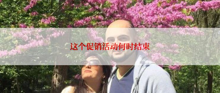 这个促销活动何时结束