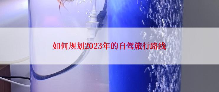 如何规划2023年的自驾旅行路线