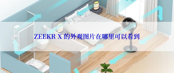 ZEEKR X 的外观图片在哪里可以看到