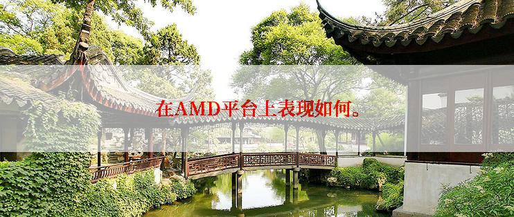 在AMD平台上表现如何。