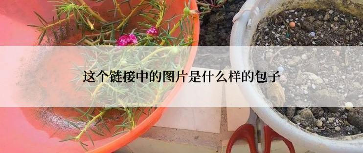 这个链接中的图片是什么样的包子