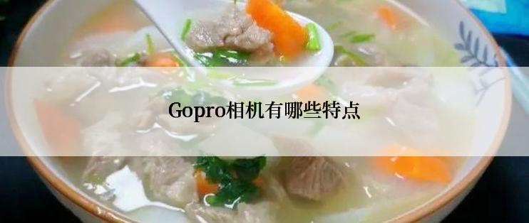 Gopro相机有哪些特点