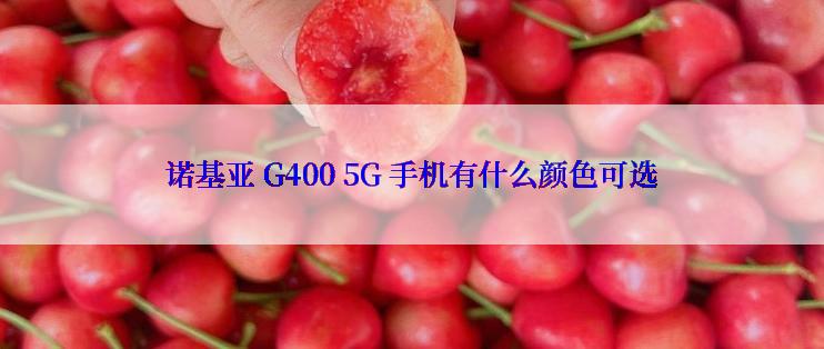 诺基亚 G400 5G 手机有什么颜色可选