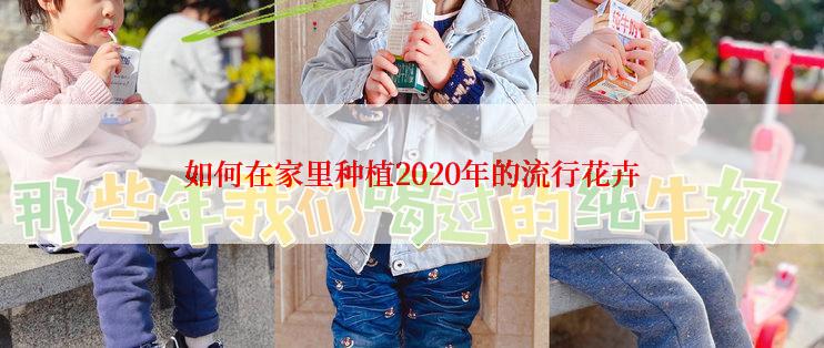 如何在家里种植2020年的流行花卉