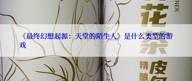 《最终幻想起源：天堂的陌生人》是什么类型的游戏