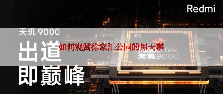 如何观赏徐家汇公园的黑天鹅