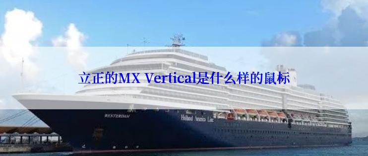 立正的MX Vertical是什么样的鼠标