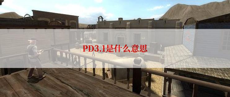 PD3.1是什么意思