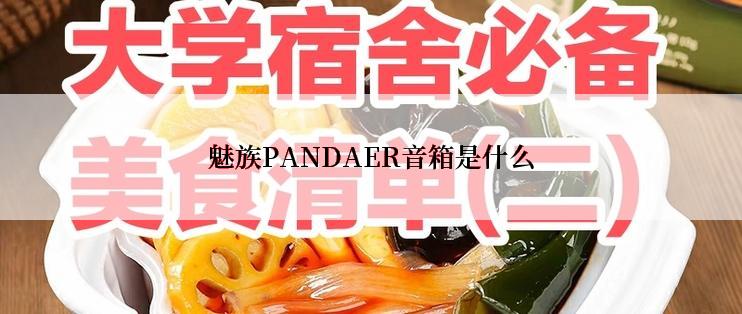 魅族PANDAER音箱是什么