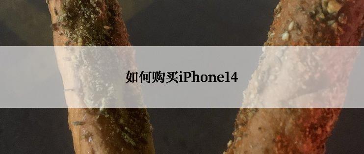 如何购买iPhone14