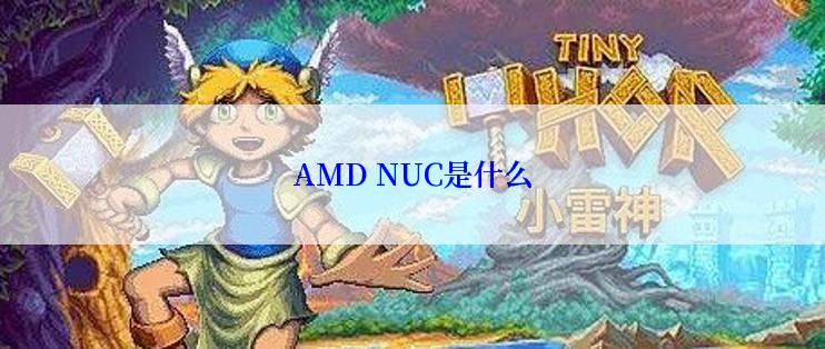 AMD NUC是什么