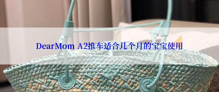 DearMom A2推车适合几个月的宝宝使用