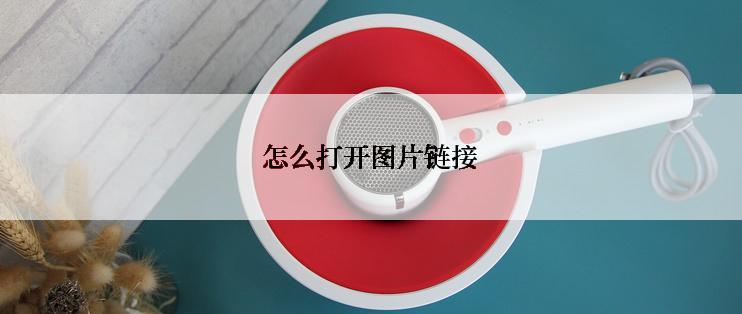 怎么打开图片链接