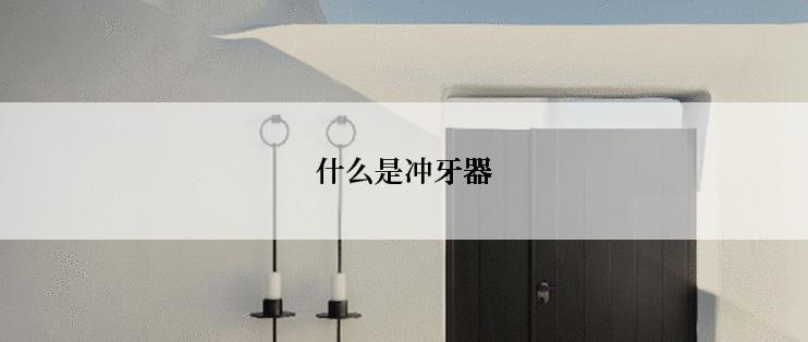 什么是冲牙器