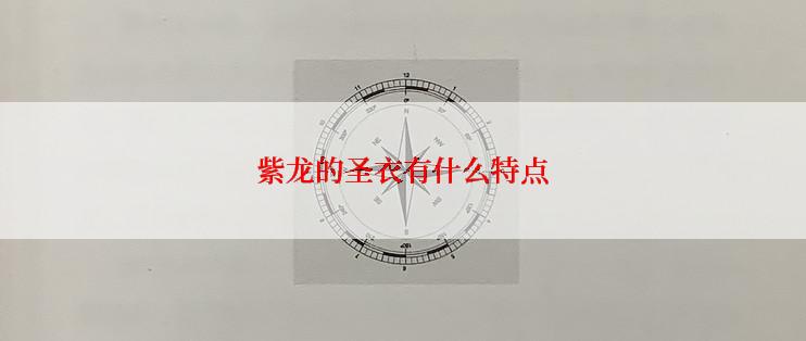 紫龙的圣衣有什么特点