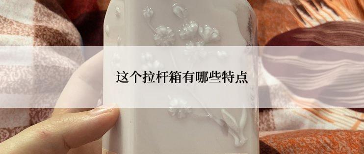 这个拉杆箱有哪些特点