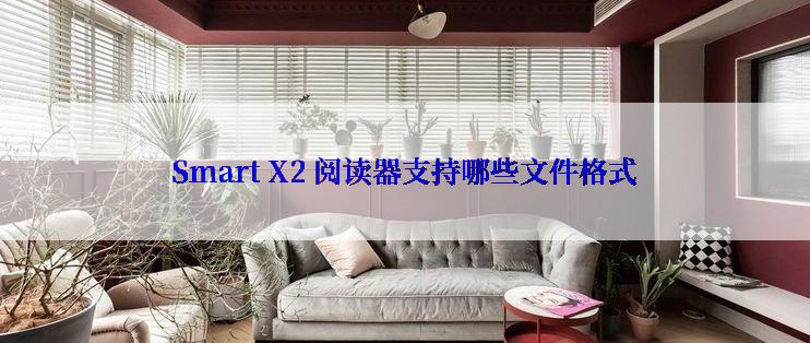 Smart X2 阅读器支持哪些文件格式