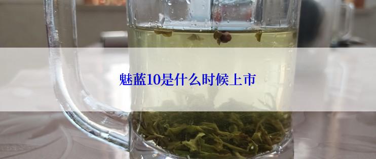 魅蓝10是什么时候上市