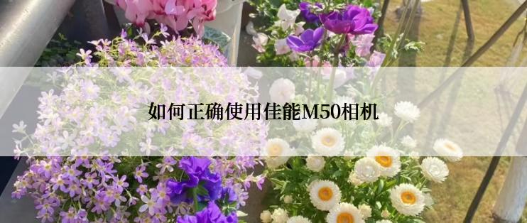 如何正确使用佳能M50相机