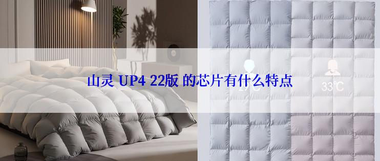 山灵 UP4 22版 的芯片有什么特点