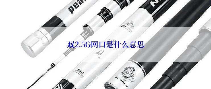 双2.5G网口是什么意思