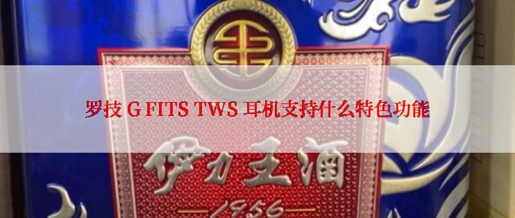 罗技 G FITS TWS 耳机支持什么特色功能